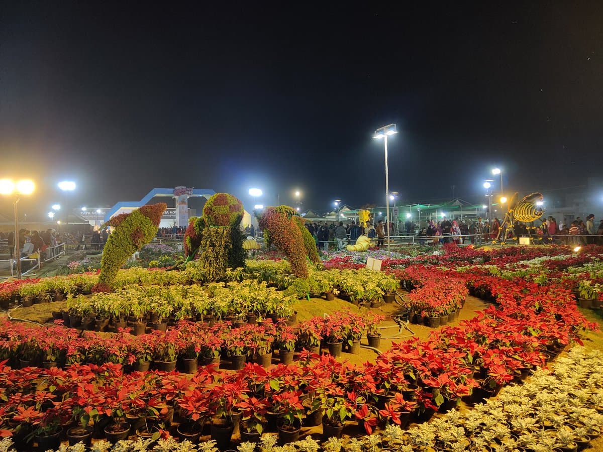 Riverfront flower Park