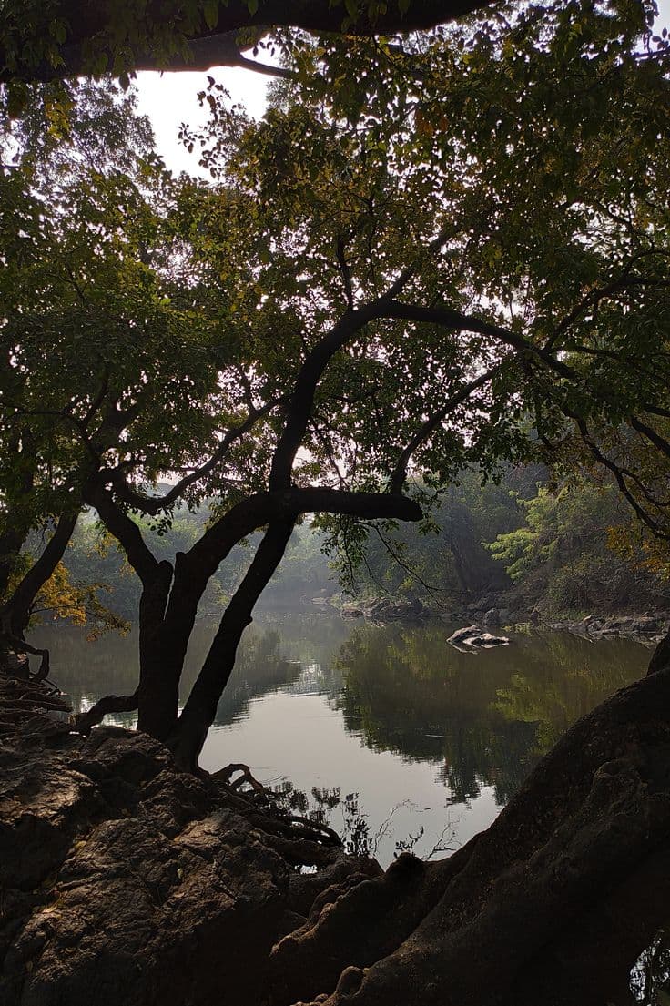 Sanjay Gandhi National Park