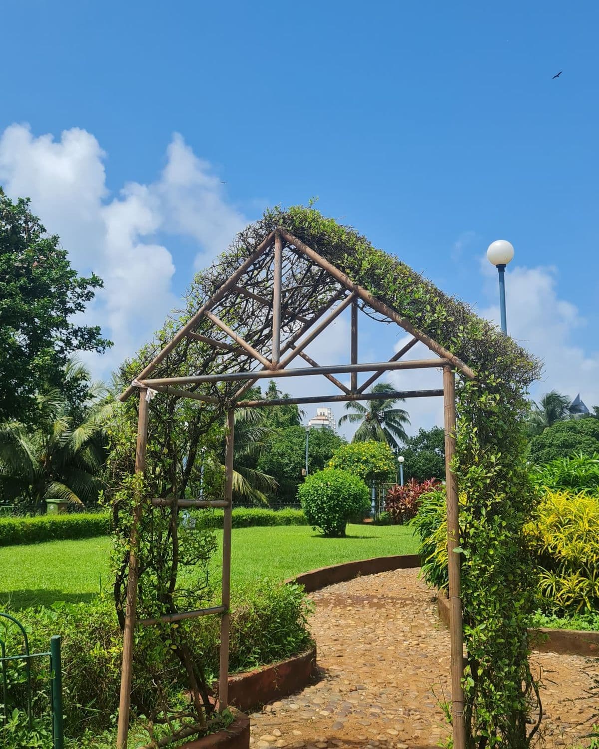 Hanging Garden