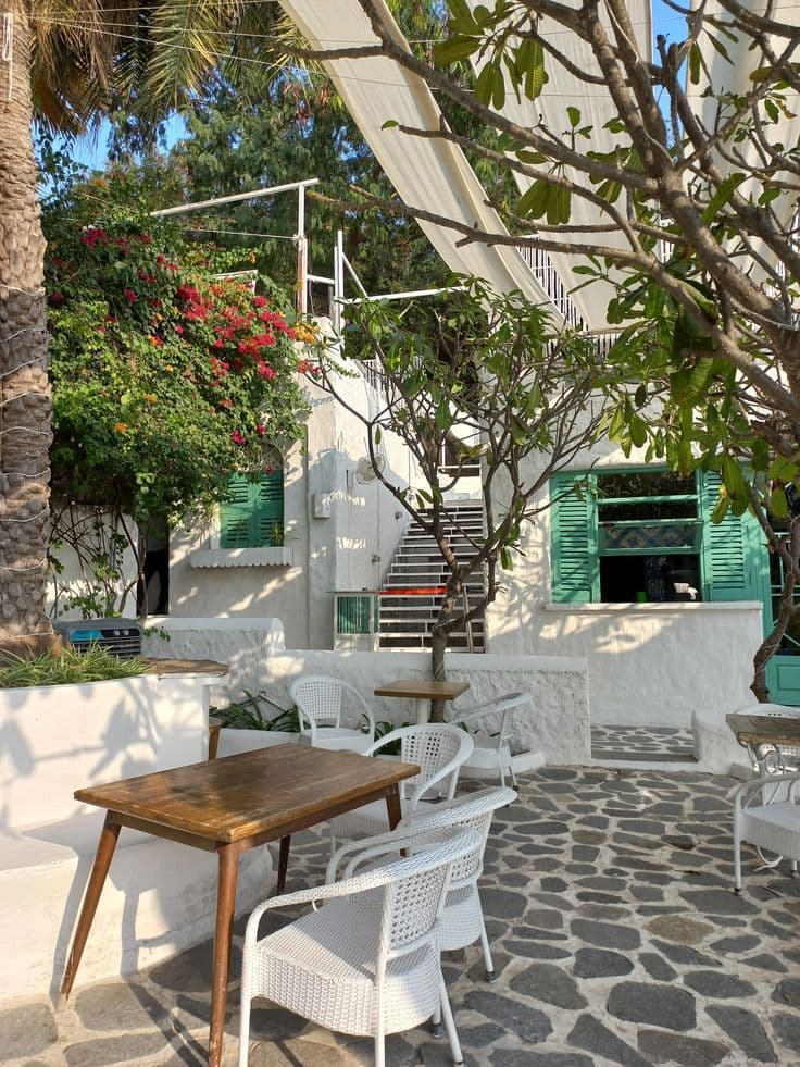 Olive Bistro