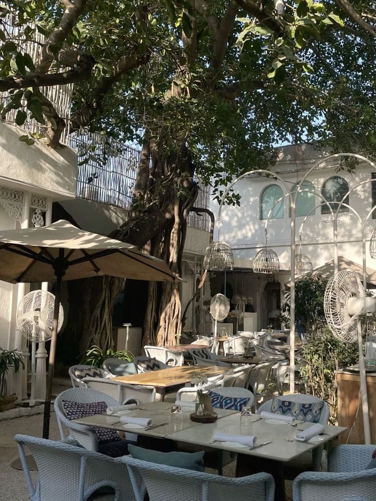 Olive Bar and Kitchen