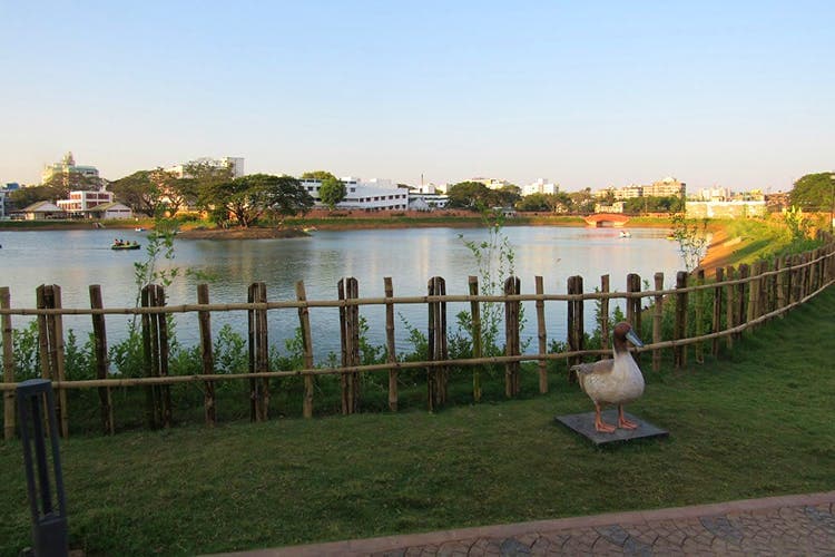 Chetpet Eco Park
