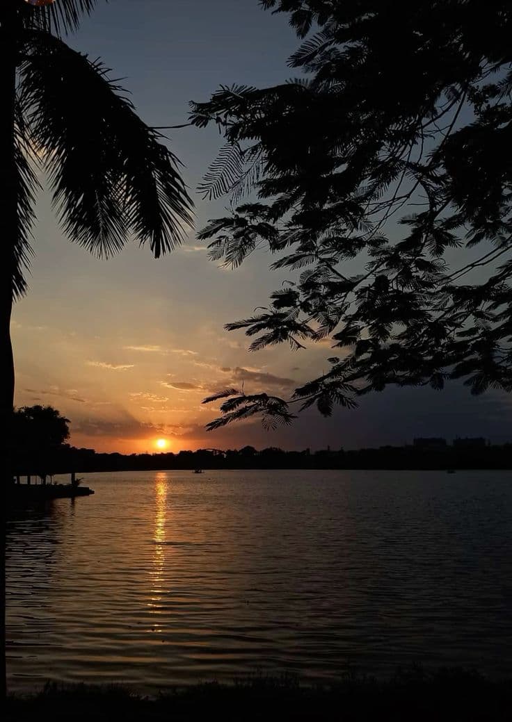Ulsoor Lake
