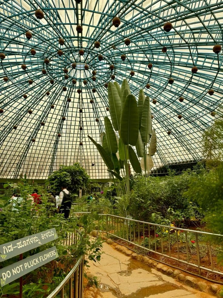 Butterfly Park