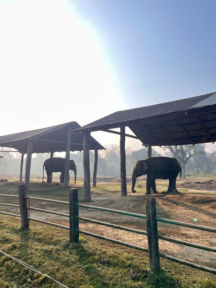 Chitwan National Park