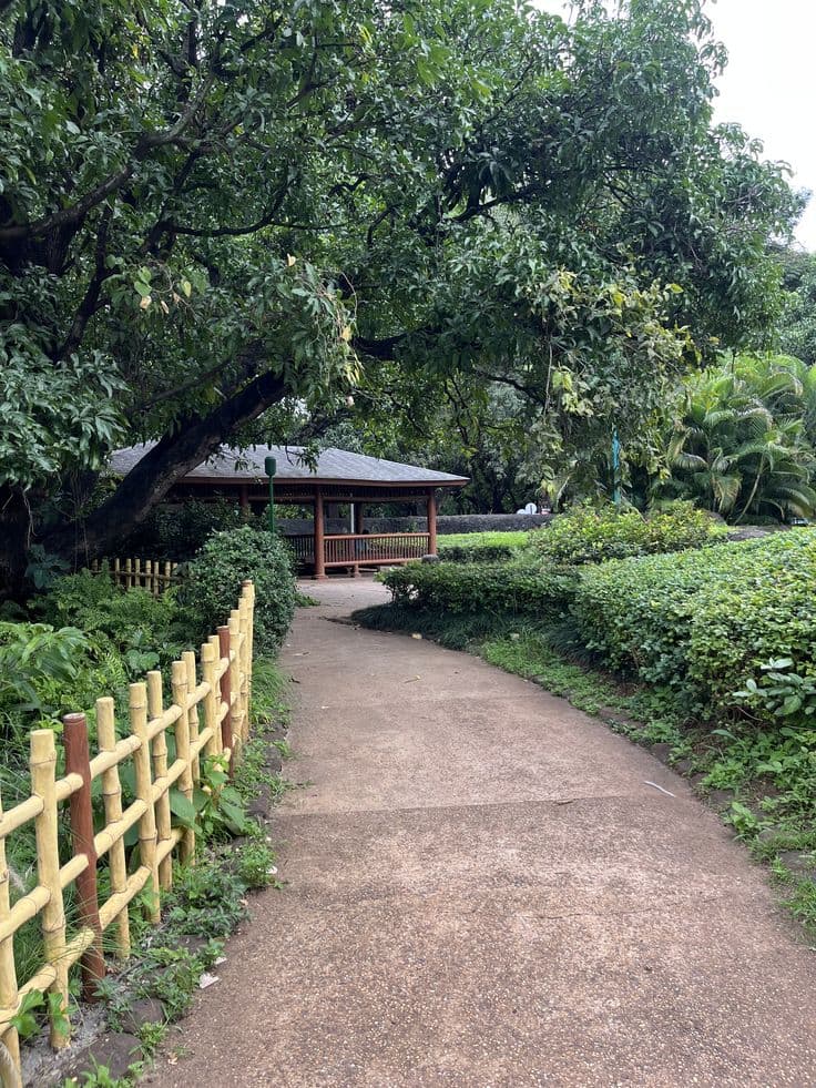 Japanese Garden